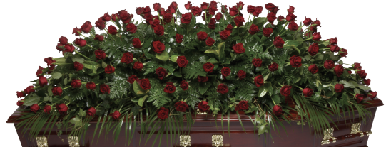 Rdeluxe Double Ended Full Length Red Roses