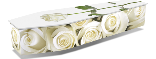 WHITE ROSES w DROPSHADOWS 1024x536